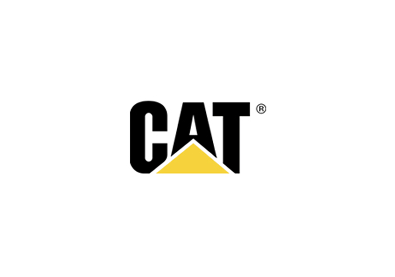 cat.png