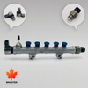 Common Rail Assembly 23810-0E010 23810-0E011 23810-0E030 for Toyota Land Cruiser 1GD 2GD Engine.